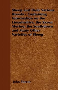 portada sheep and their various breeds - containing information on the lincolnshire, the saxon merino, the southdown and many other varieties of sheep (in English)