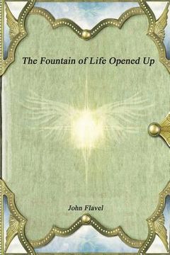 portada The Fountain of Life Opened Up (en Inglés)