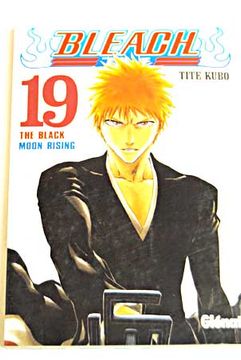 the black moon rising :bleach. vol. 19