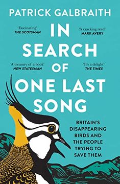 portada In Search of one Last Song