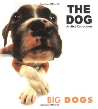 portada Big Dogs (Dog Series) (en Inglés)