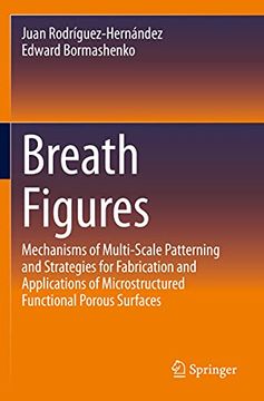 portada Breath Figures: Mechanisms of Multi-Scale Patterning and Strategies for Fabrication and Applications of Microstructured Functional Por (in English)