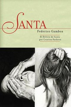portada Santa y el Delirio de Santa (in Spanish)