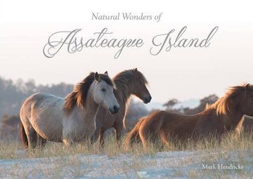 portada Natural Wonders of Assateague Island (en Inglés)