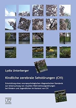 portada Kindliche Zerebrale Sehstörungen (Cvi) (in German)