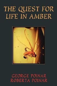portada quest for life in amber (en Inglés)