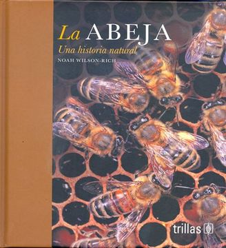 portada La Abeja (in Spanish)