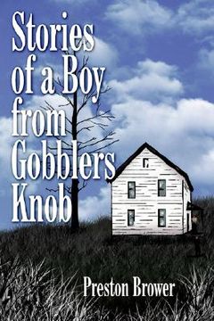 portada stories of a boy from gobblers knob (in English)