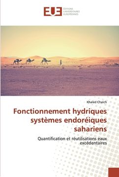 portada Fonctionnement hydriques systèmes endoréiques sahariens (en Francés)