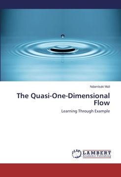 portada The Quasi-One-Dimensional Flow