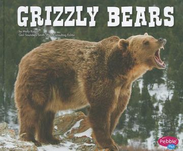 portada grizzly bears