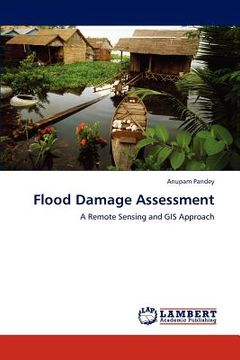 portada flood damage assessment (en Inglés)