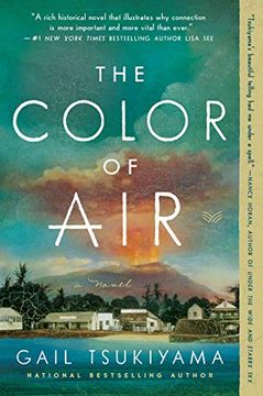portada The Color of Air: A Novel (in English)