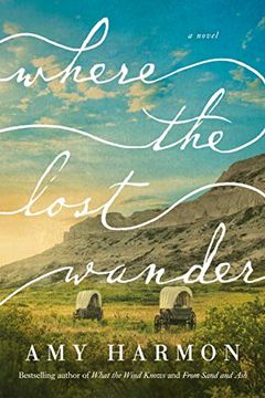 portada Where the Lost Wander: A Novel (in English)