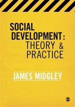 portada Social Development: Theory and Practice (in English)