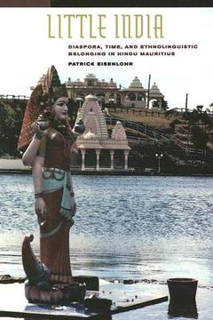 portada little india: diaspora, time, and ethnolinguistic belonging in hindu mauritius (en Inglés)
