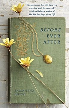 portada Before Ever After (in English)