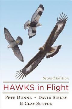 portada hawks in flight (en Inglés)