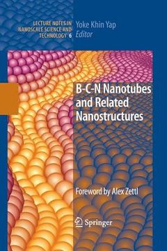 portada B-C-N Nanotubes and Related Nanostructures (in English)