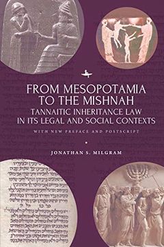 portada From Mesopotamia to the Mishnah: Tannaitic Inheritance law in its Legal and Social Contexts (en Inglés)