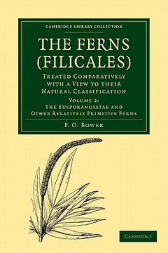 portada The Ferns (Filicales): Volume 2, the Eusporangiatae and Other Relatively Primitive Ferns Paperback (Cambridge Library Collection - Botany and Horticulture) (in English)