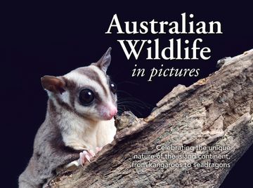 portada Australian Wildlife in Picture: Celebrating the Unique Nature of the Island Continent, from Kangaroos to Sea Dragons (en Inglés)
