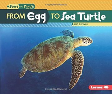 portada From Egg to Sea Turtle (en Inglés)