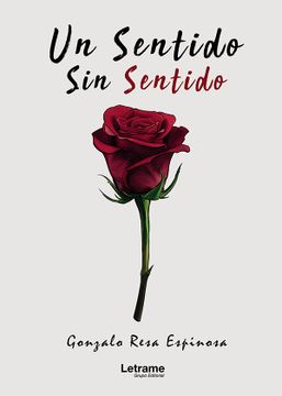 portada Un Sentido sin Sentido (in Spanish)
