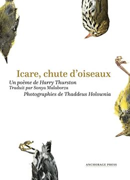 portada Icare, Chute d'Oiseaux (en Francés)