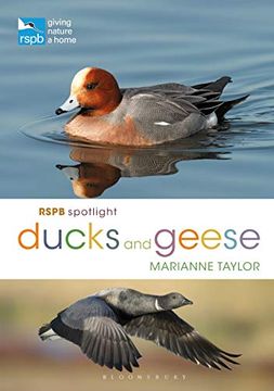 portada Rspb Spotlight Ducks and Geese (in English)