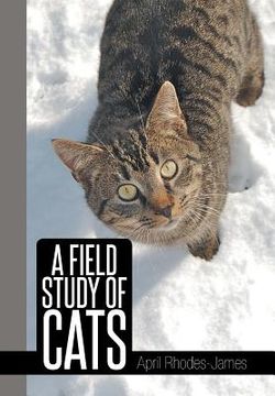 portada A Field Study of Cats (in English)
