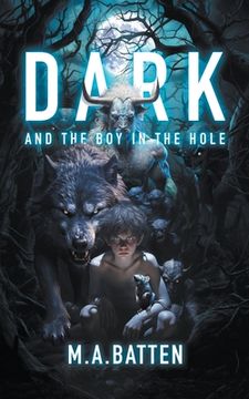 portada Dark: And the boy in the Hole (The Prodigy)