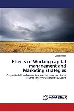 portada Effects of Working capital management and Marketing strategies