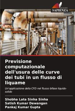 Previsione Computazionale Dell’Usura Delle Curve dei Tubi in un Flusso di Liquame de Satish Kumar Dewangan Pankaj Kumar Gupta(Ks Omniscriptum Publishing) (en Italiano)