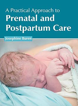 portada A Practical Approach to Prenatal and Postpartum Care (en Inglés)