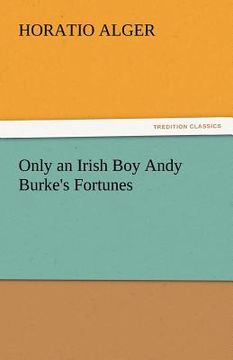 portada only an irish boy andy burke's fortunes (en Inglés)
