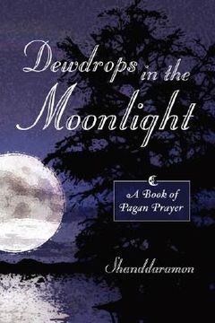 portada dewdrops in the moonlight: a book of pagan prayer (en Inglés)