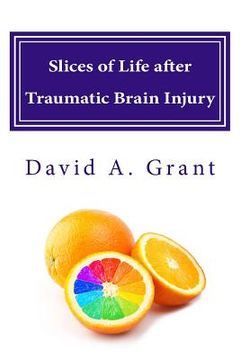 portada Slices of Life after Traumatic Brain Injury (en Inglés)