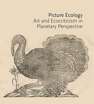 portada Picture Ecology: Art and Ecocriticism in Planetary Perspective (en Inglés)