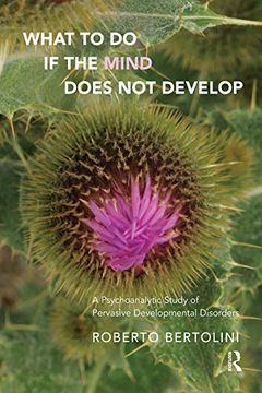 portada What to do if the Mind Does not Develop: A Psychoanalytic Study of Pervasive Developmental Disorders (in English)