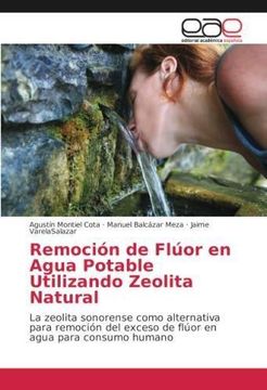 portada Remoción de Flúor en Agua Potable Utilizando Zeolita Natural (in Spanish)