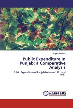 portada Public Expenditure In Punjab: a Comparative Analysis (in English)