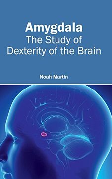 portada Amygdala: The Study of Dexterity of the Brain (en Inglés)
