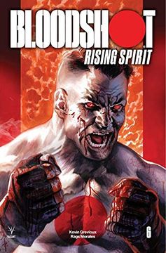 portada Bloodshot Espiritu Renacido 6 (in Spanish)