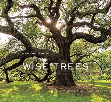 portada Wise Trees