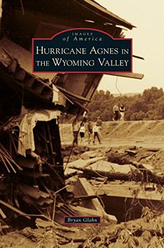 portada Hurricane Agnes in the Wyoming Valley (en Inglés)