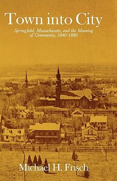portada town into city: springfield, massachusetts, and the meaning of community, 1840-1880 (en Inglés)