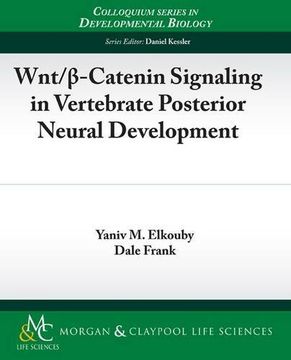portada Wnt/ -Catenin Signaling in Vertebrate Posterior Neural Development 
