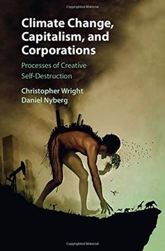 portada Climate Change, Capitalism, and Corporations: Processes of Creative Self-Destruction (Business, Value Creation, and Society) (en Inglés)
