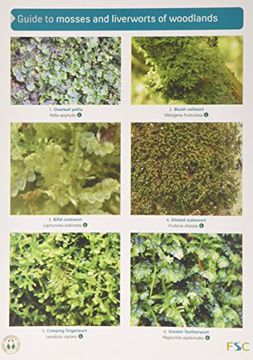 portada Guide to Mosses and Liverworts of Woodlands